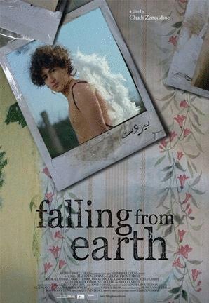 Poster of the movie Falling From Earth [2008]