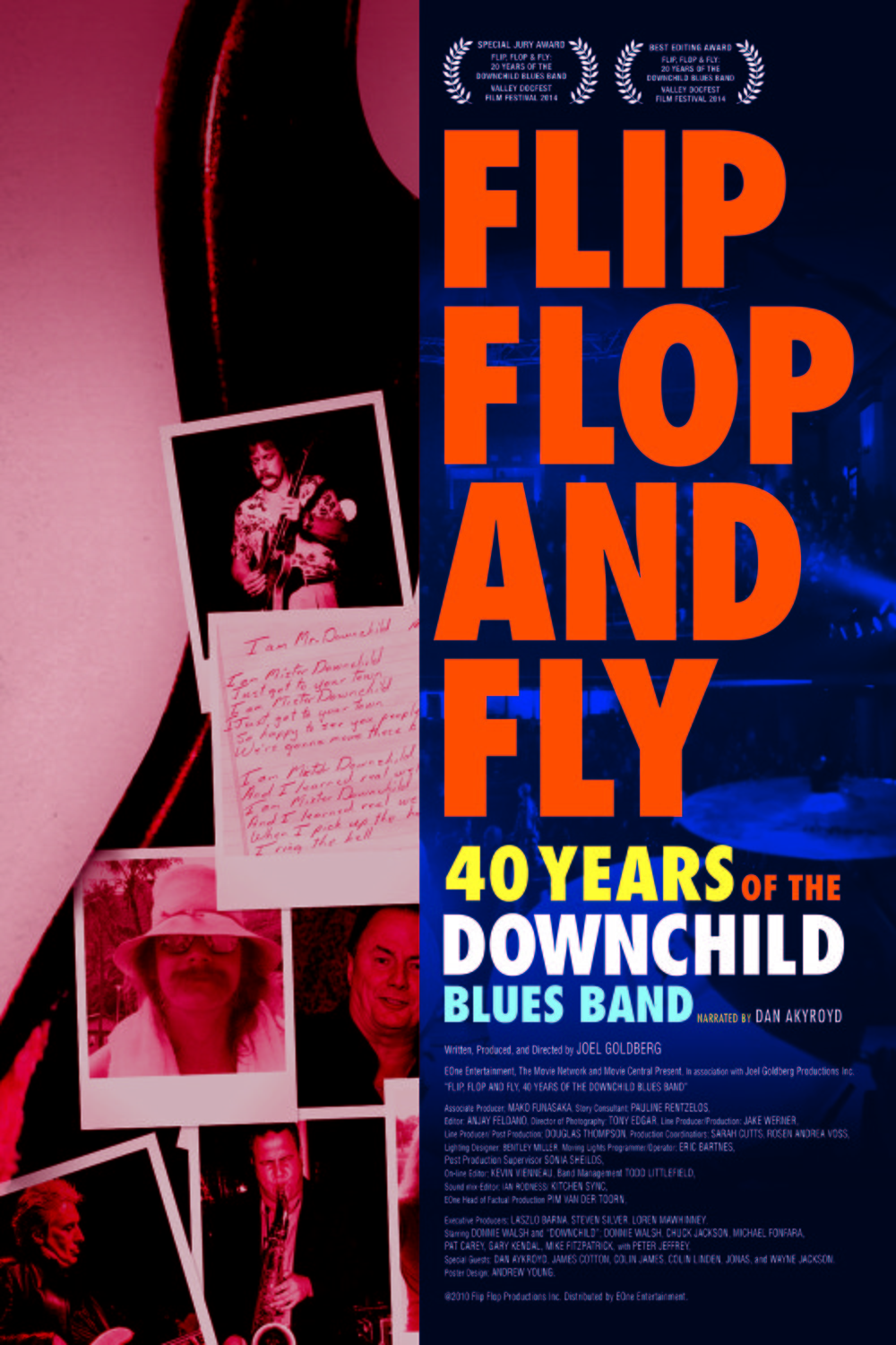 L'affiche du film Flip, Flop, and Fly, 40 Years of the Downchild Blues Band