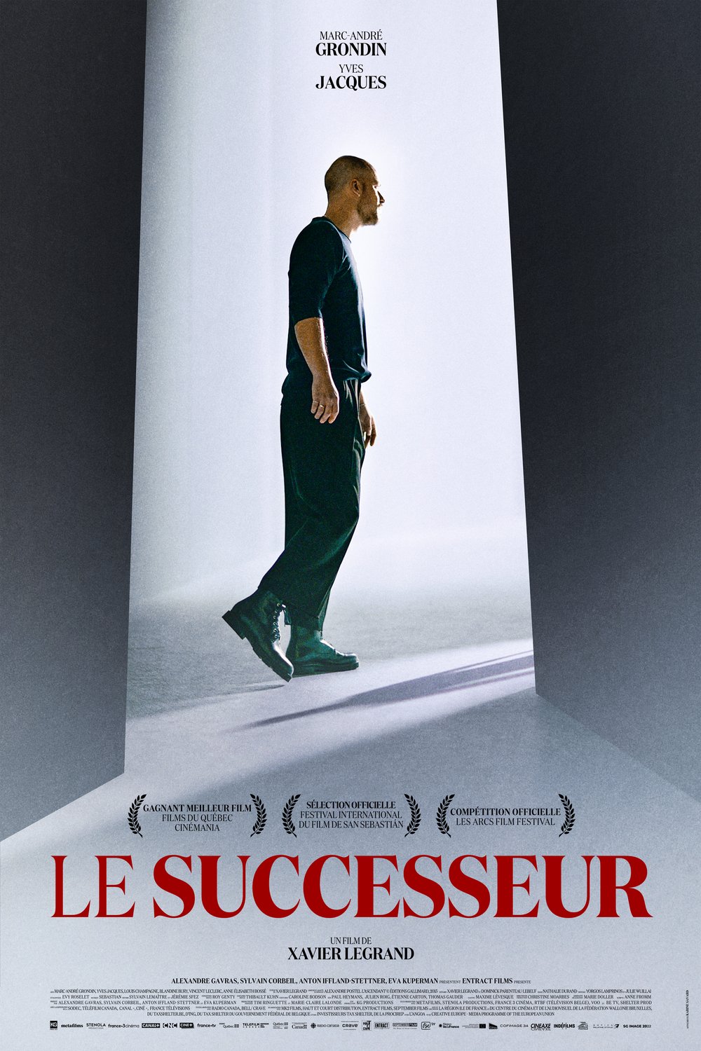 L'affiche du film Le successeur