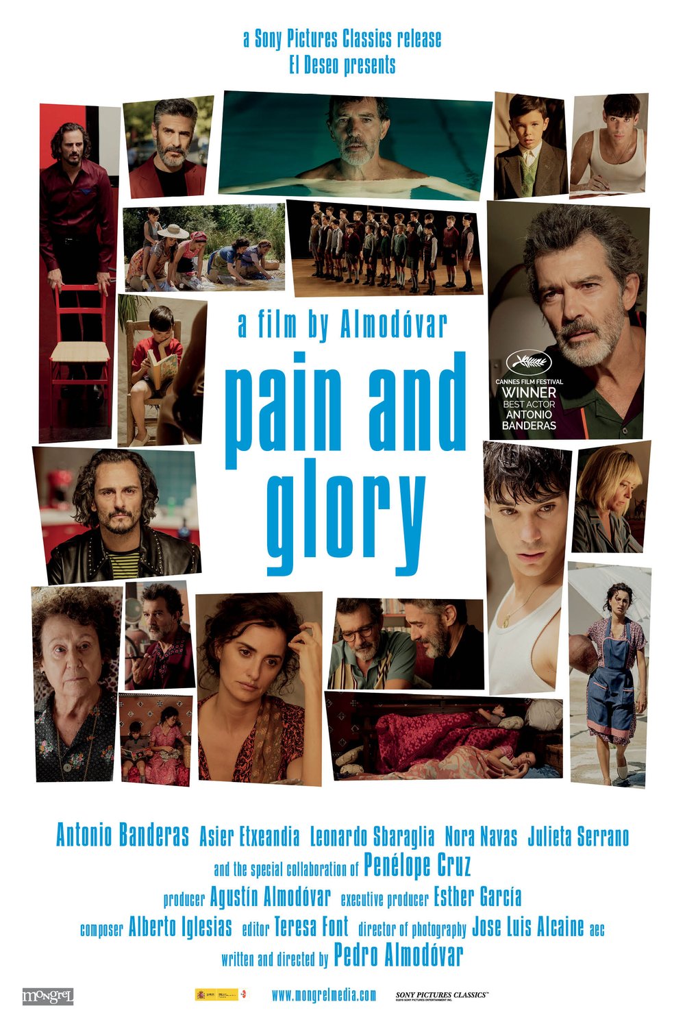 L'affiche du film Pain and glory