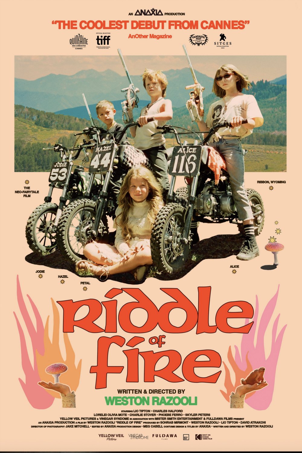 L'affiche du film Riddle of Fire