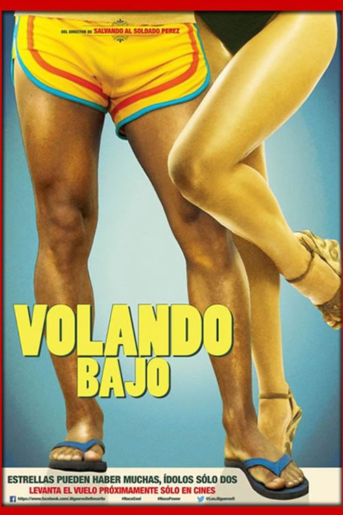 Poster of the movie Flying Low [2014]