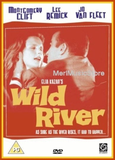 L'affiche du film Wild River