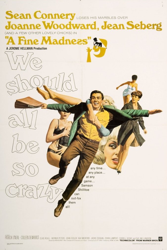 Poster of the movie A Fine Madness
