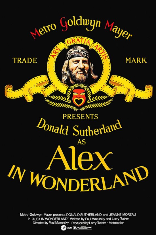 L'affiche du film Alex in Wonderland