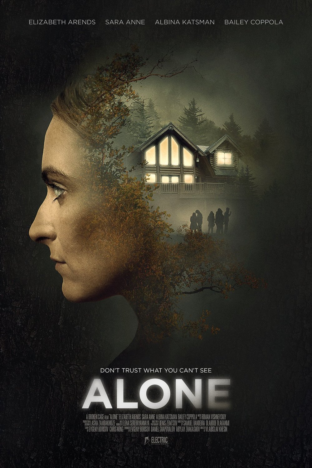 L'affiche du film Alone
