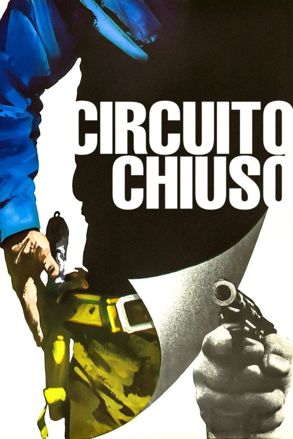 Poster of the movie Circuito chiuso [1978]