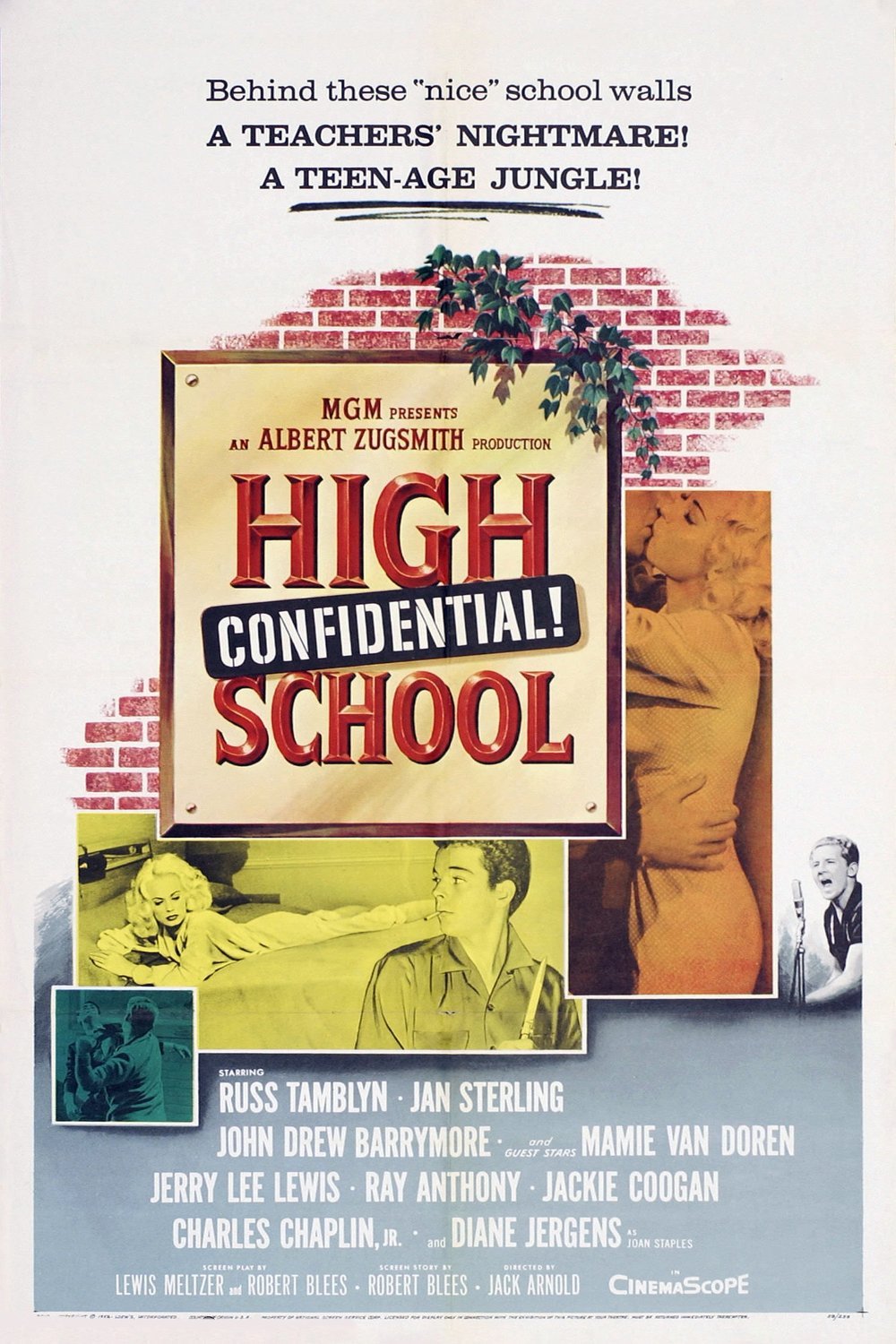 L'affiche du film High School Confidential!