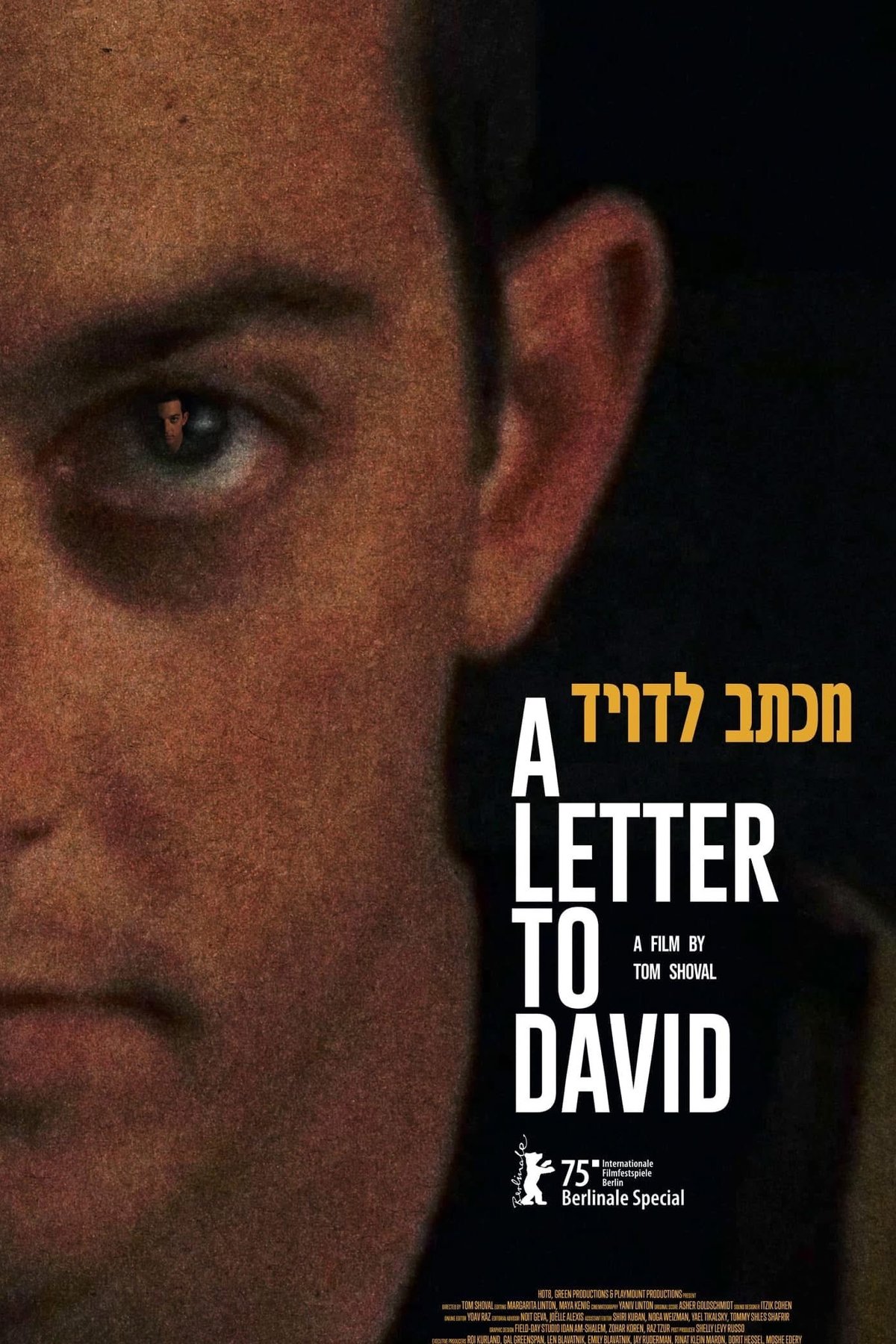 Poster of the movie A Letter to David [2025]