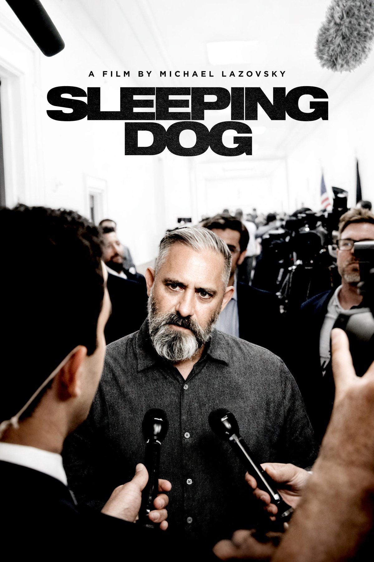 Poster of the movie Sleeping Dog [2026]