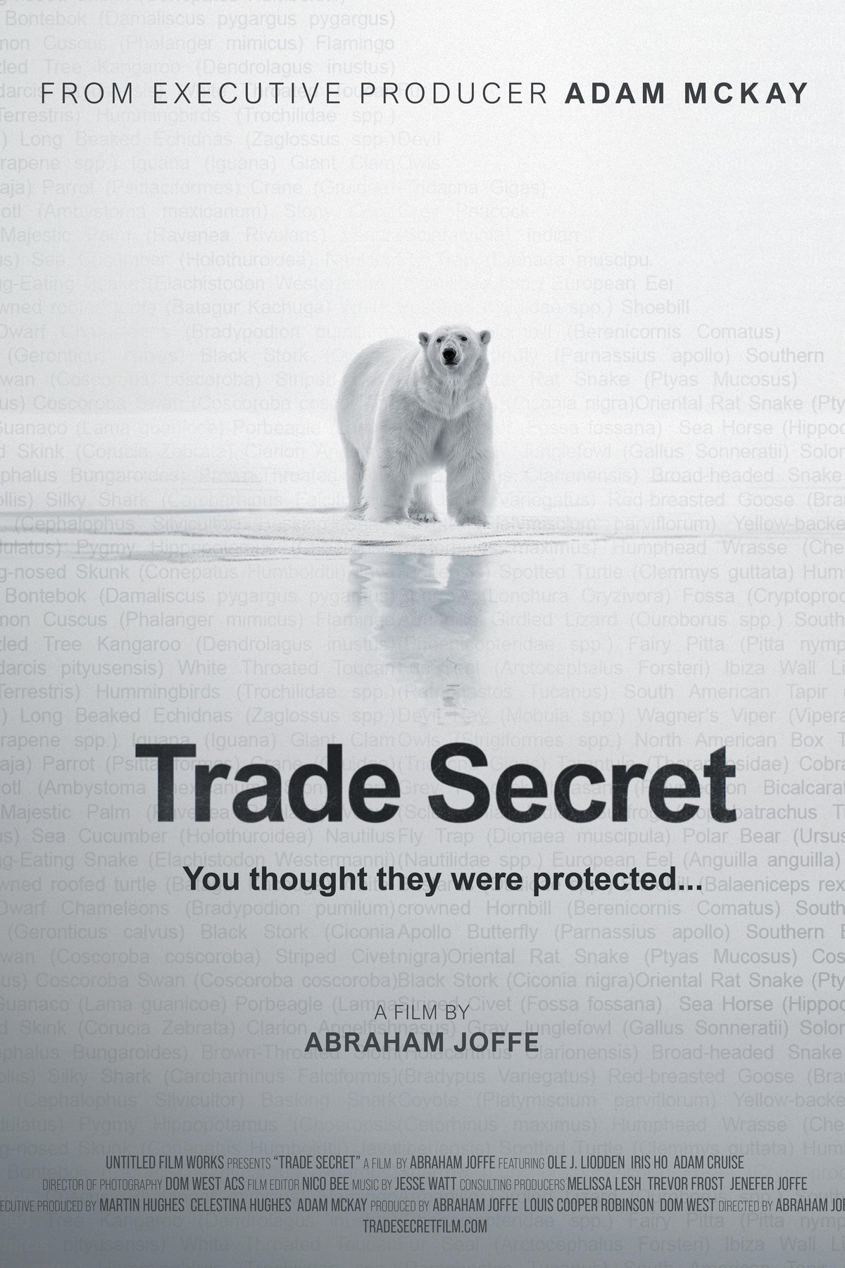 L'affiche du film Trade Secret [2025]