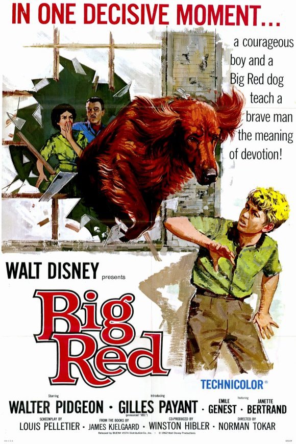 L'affiche du film Big Red