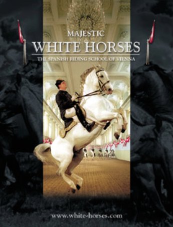 L'affiche du film Majestic White Horses
