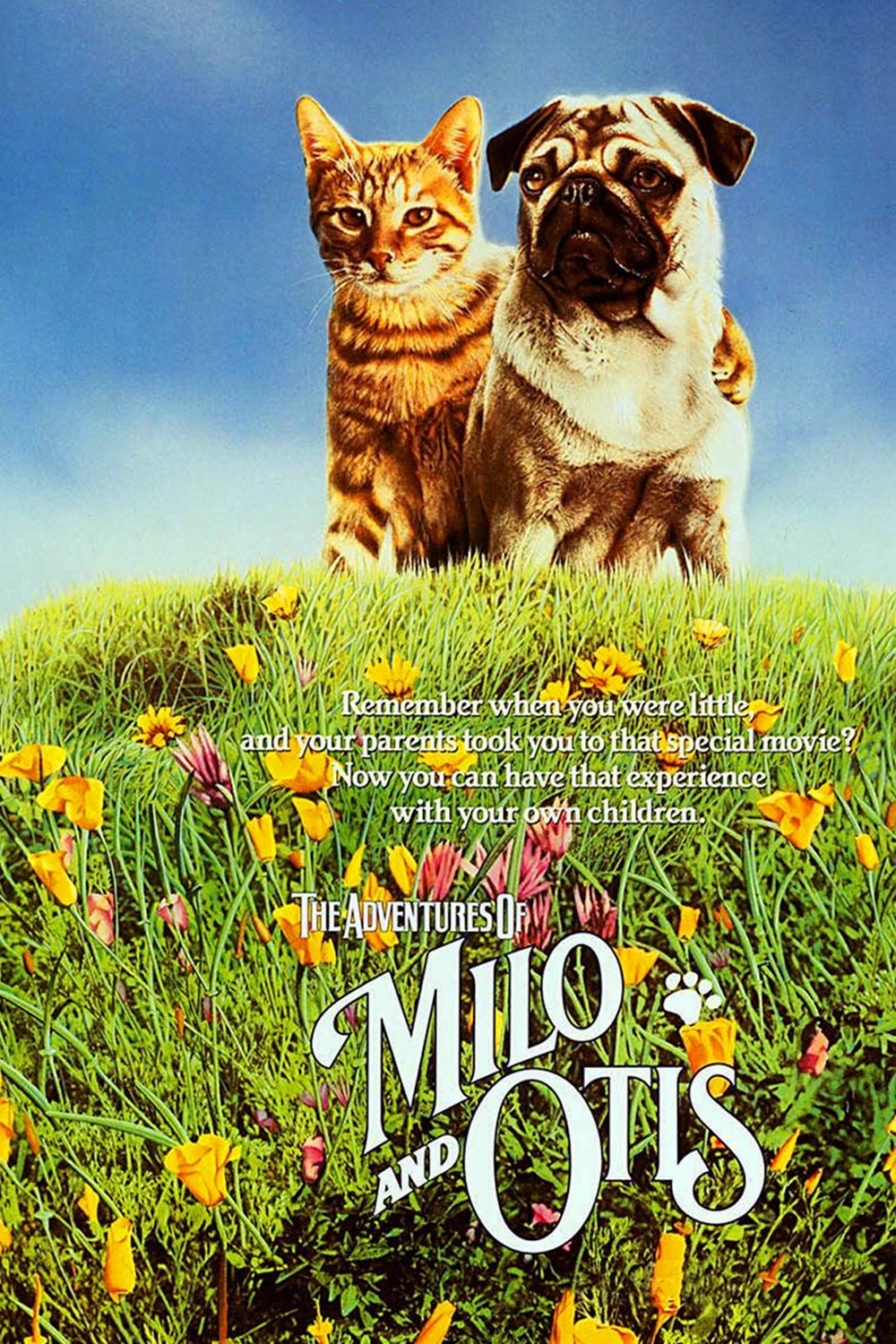 L'affiche du film The Adventures of Milo and Otis
