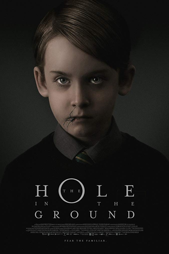 L'affiche du film The Hole in the Ground