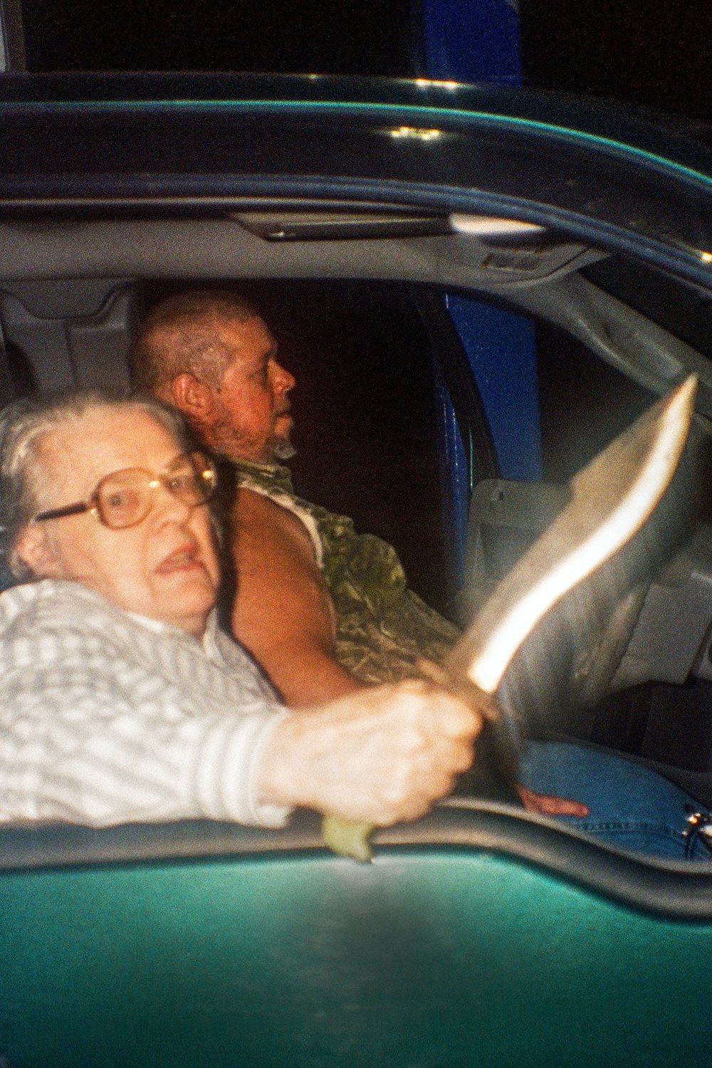 Poster of the movie The Python Hunt