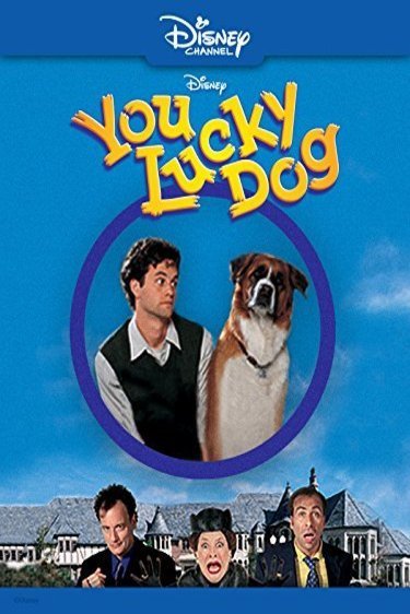 English poster of the movie You Lucky Dog