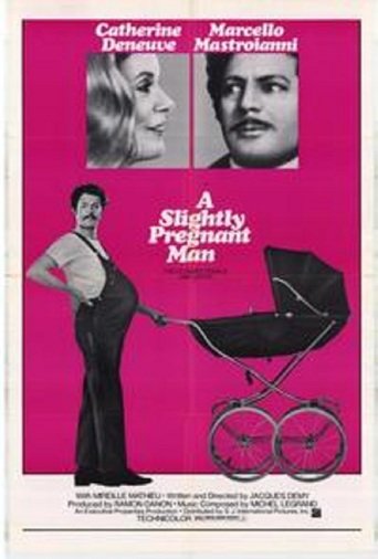L'affiche du film A Slightly Pregnant Man