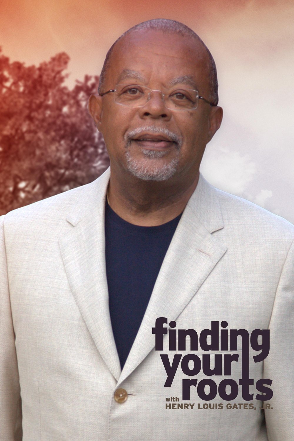 L'affiche du film Finding Your Roots with Henry Louis Gates, Jr.