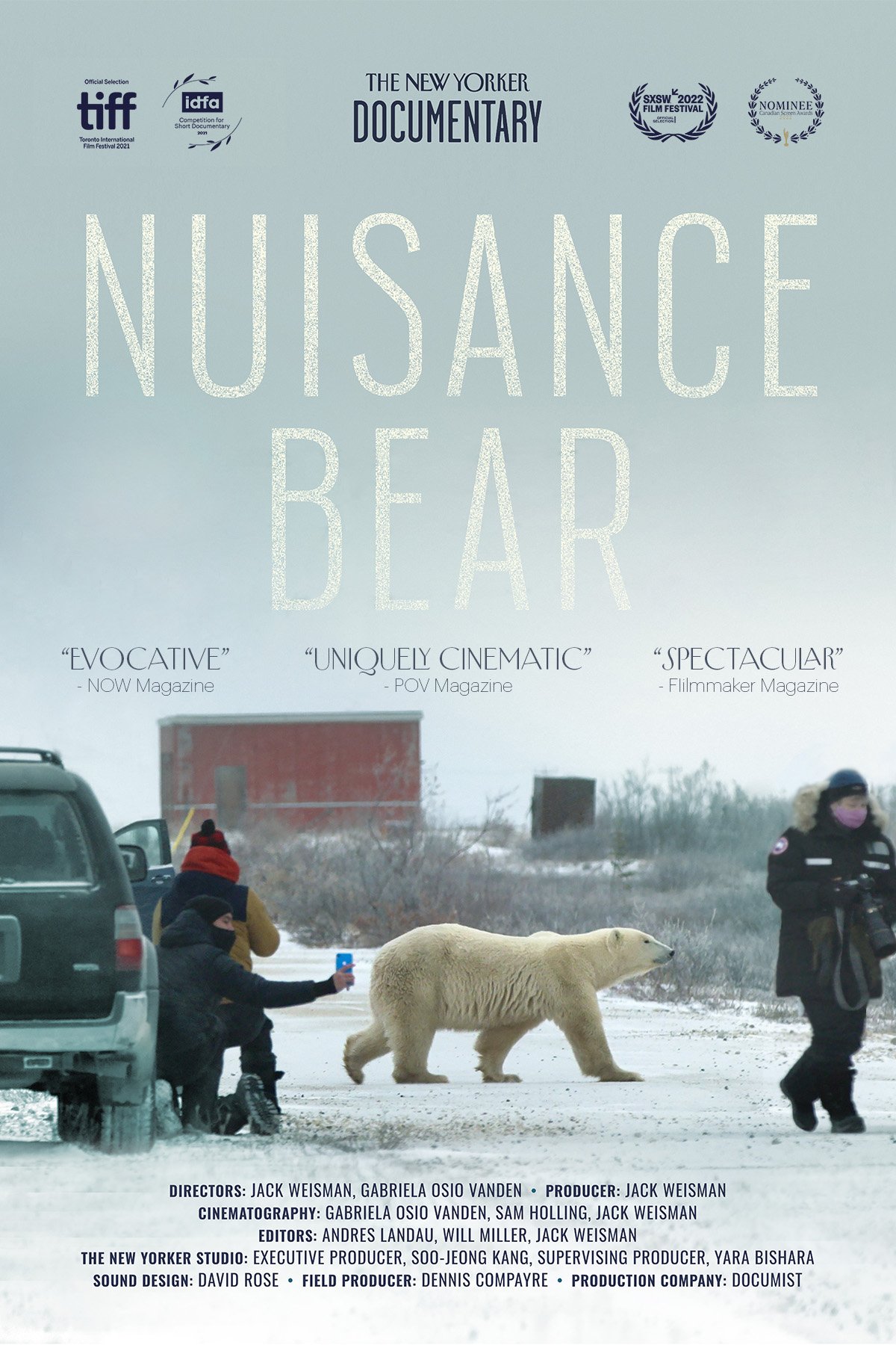 L'affiche du film Nuisance Bear