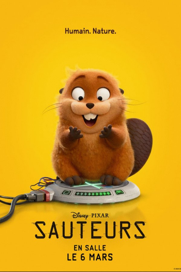 Poster of the movie Sauteurs