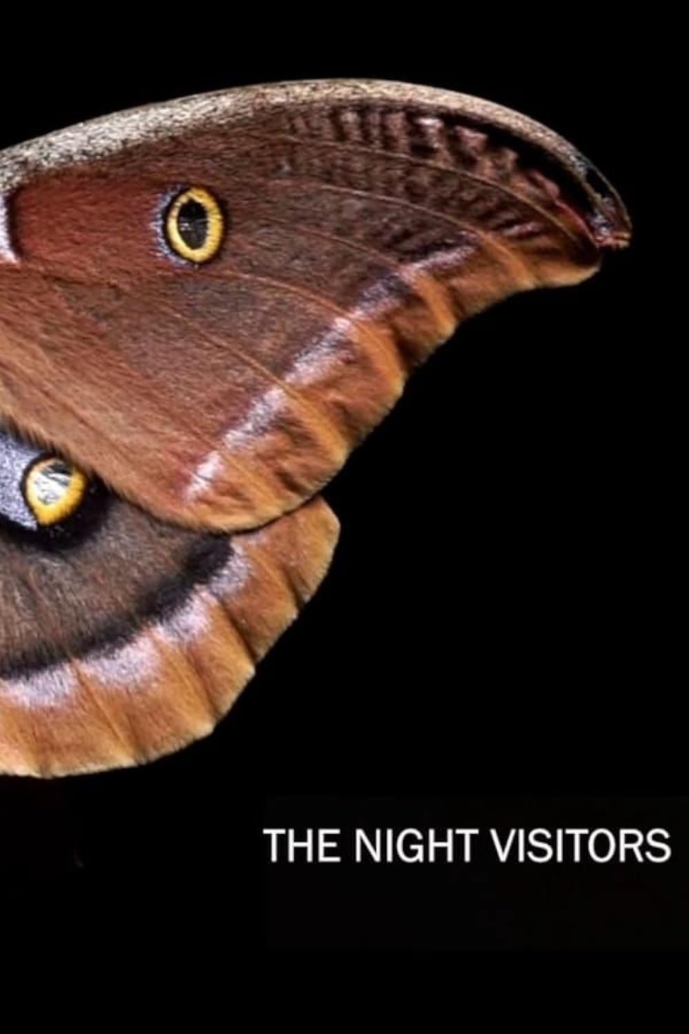 Poster of the movie The Night Visitors