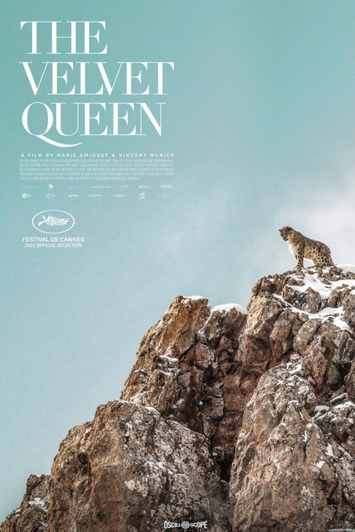 Poster of the movie The Velvet Queen