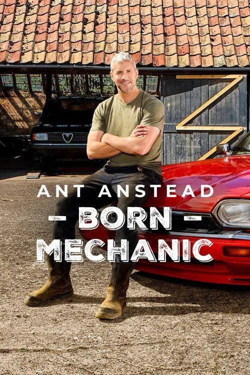 L'affiche du film Ant Anstead: Born Mechanic [2024]