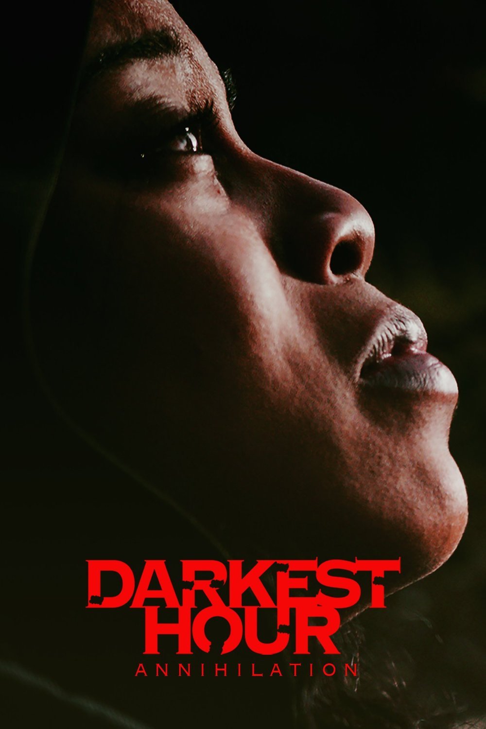L'affiche du film Darkest Hour Annihilation