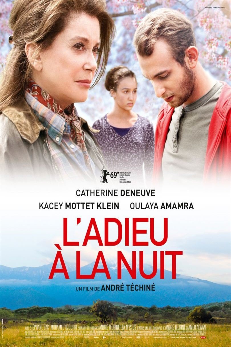 L'affiche du film L'adieu à la nuit