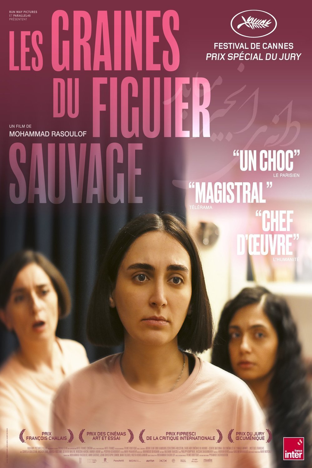 Poster of the movie Les graines du figuier sauvage [2024]