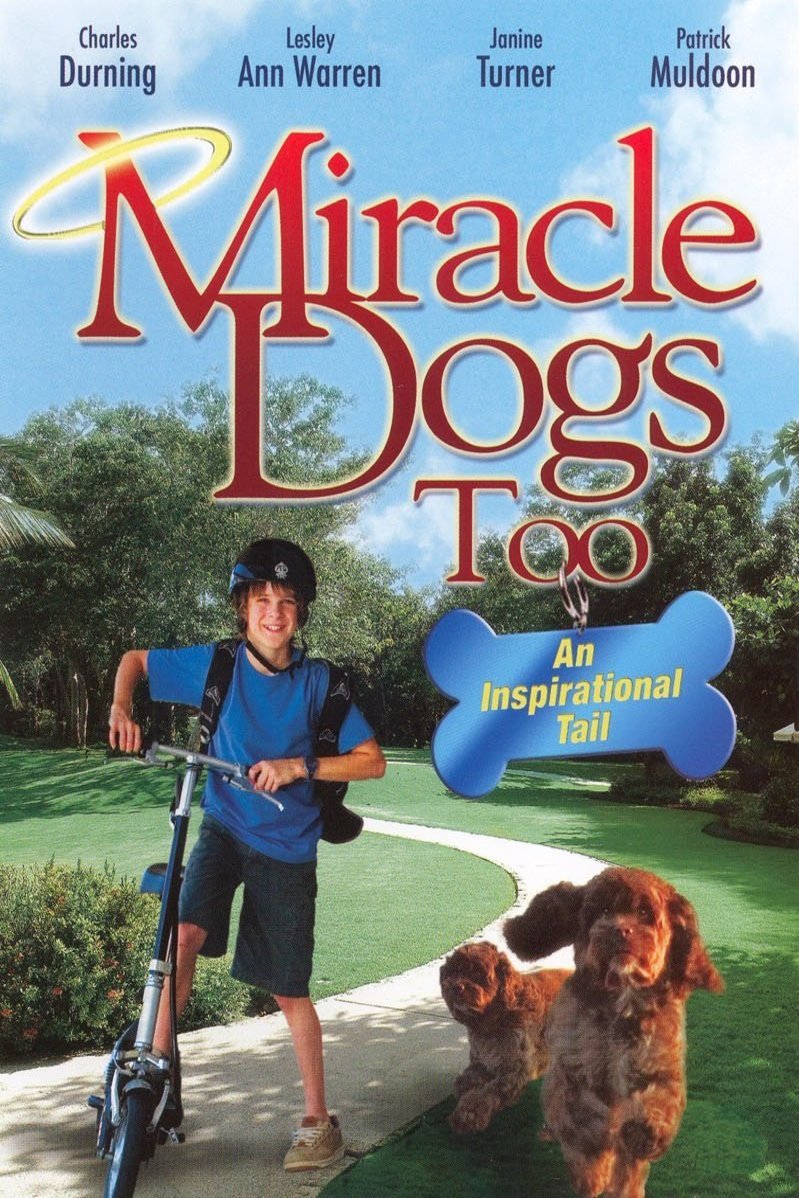 L'affiche du film Miracle Dogs Too