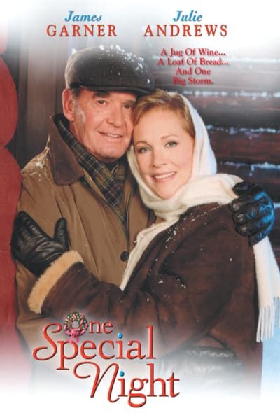 L'affiche du film One Special Night