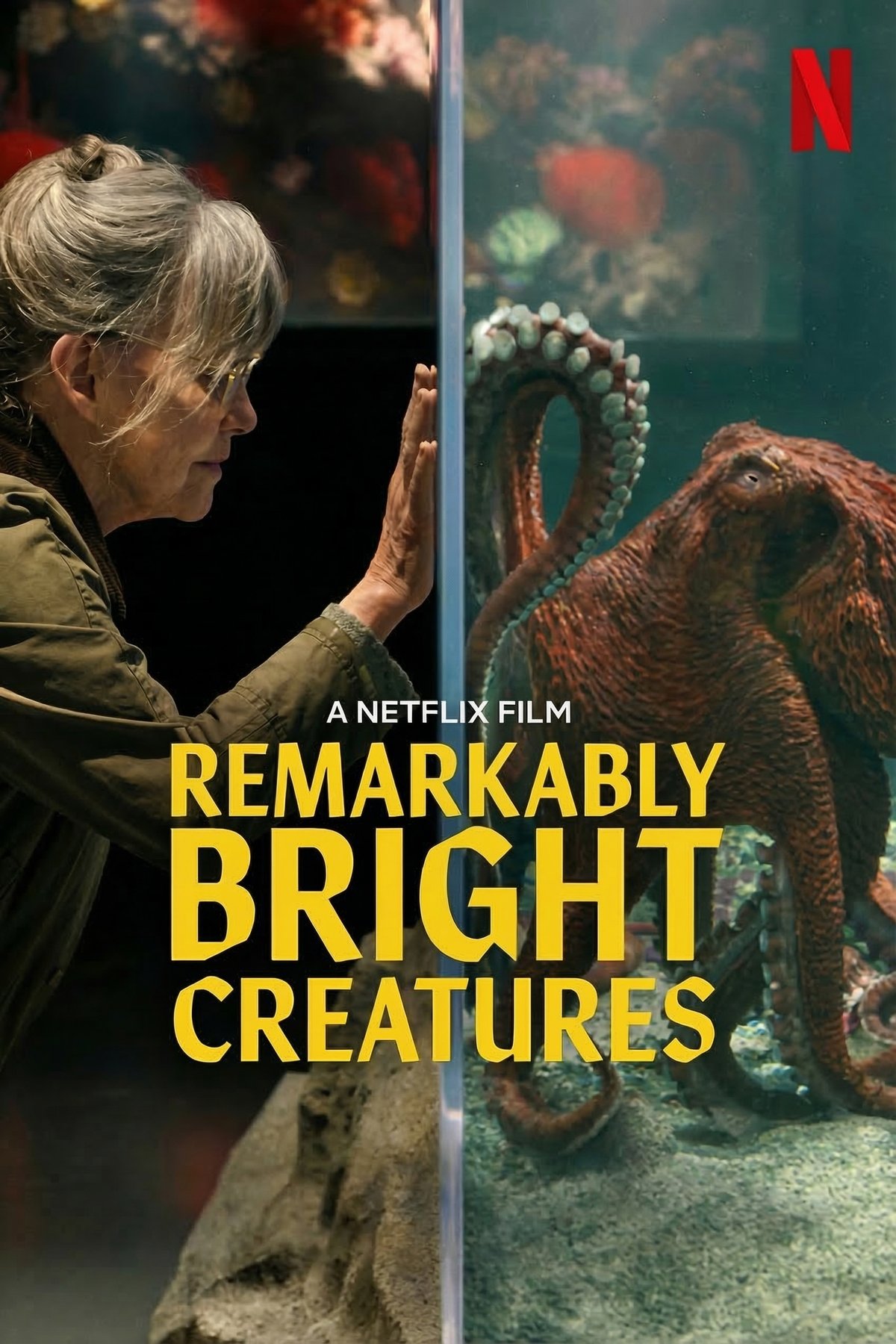 Poster of the movie Remarkably Bright Creatures
