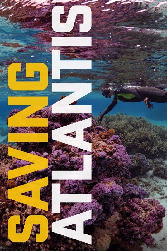 L'affiche du film Saving Atlantis