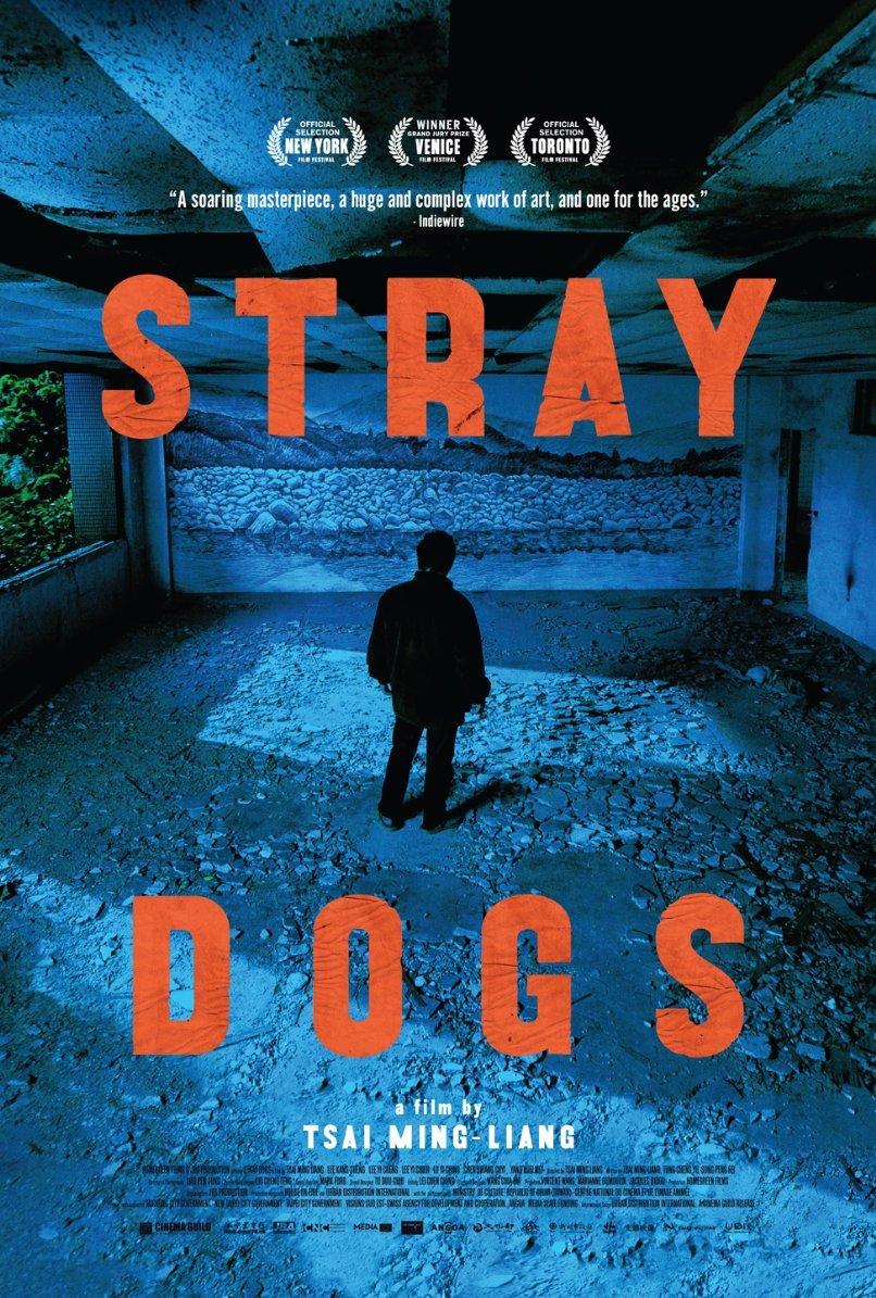 L'affiche du film Stray Dogs [2013]