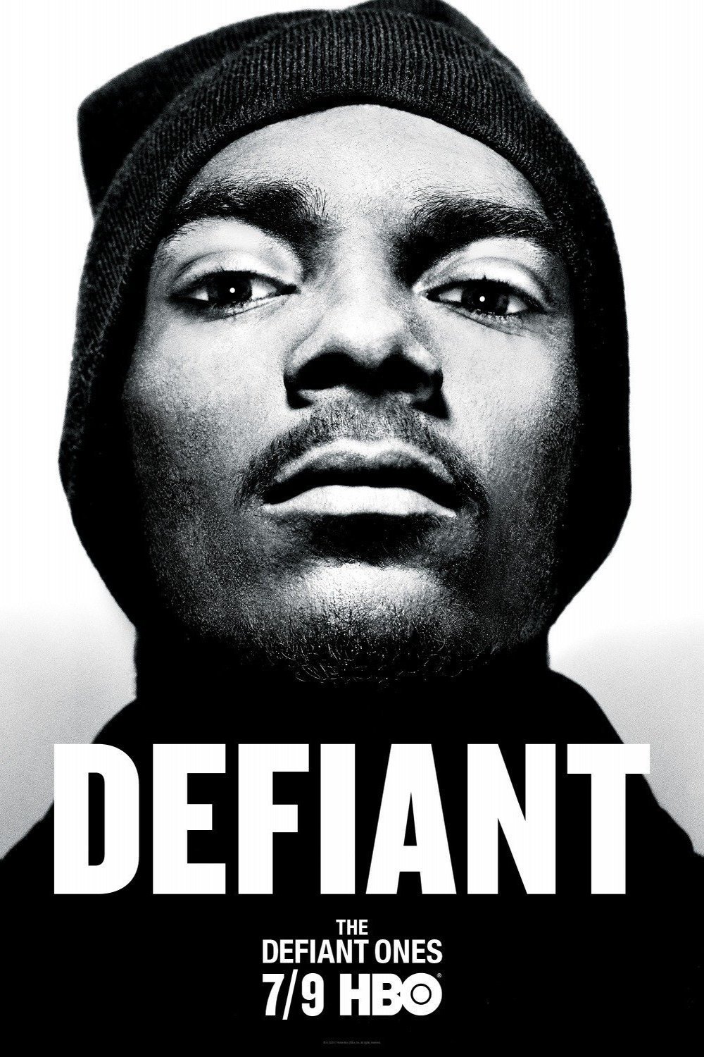 L'affiche du film The Defiant Ones