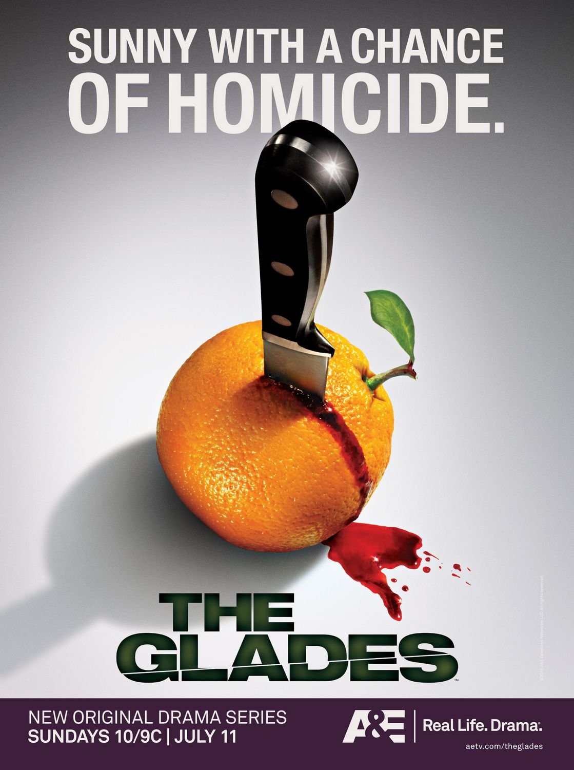 Poster of the movie The Glades