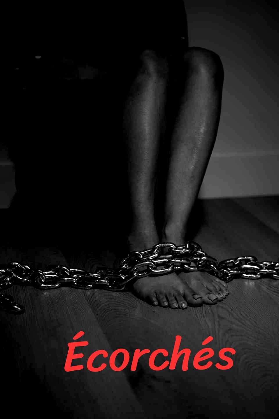Poster of the movie Écorchés [2024]