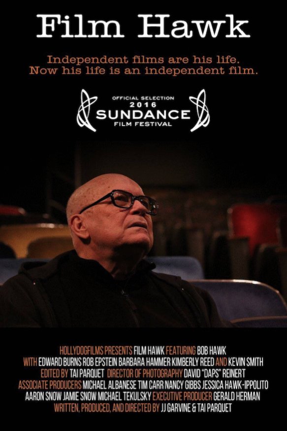 L'affiche du film Film Hawk