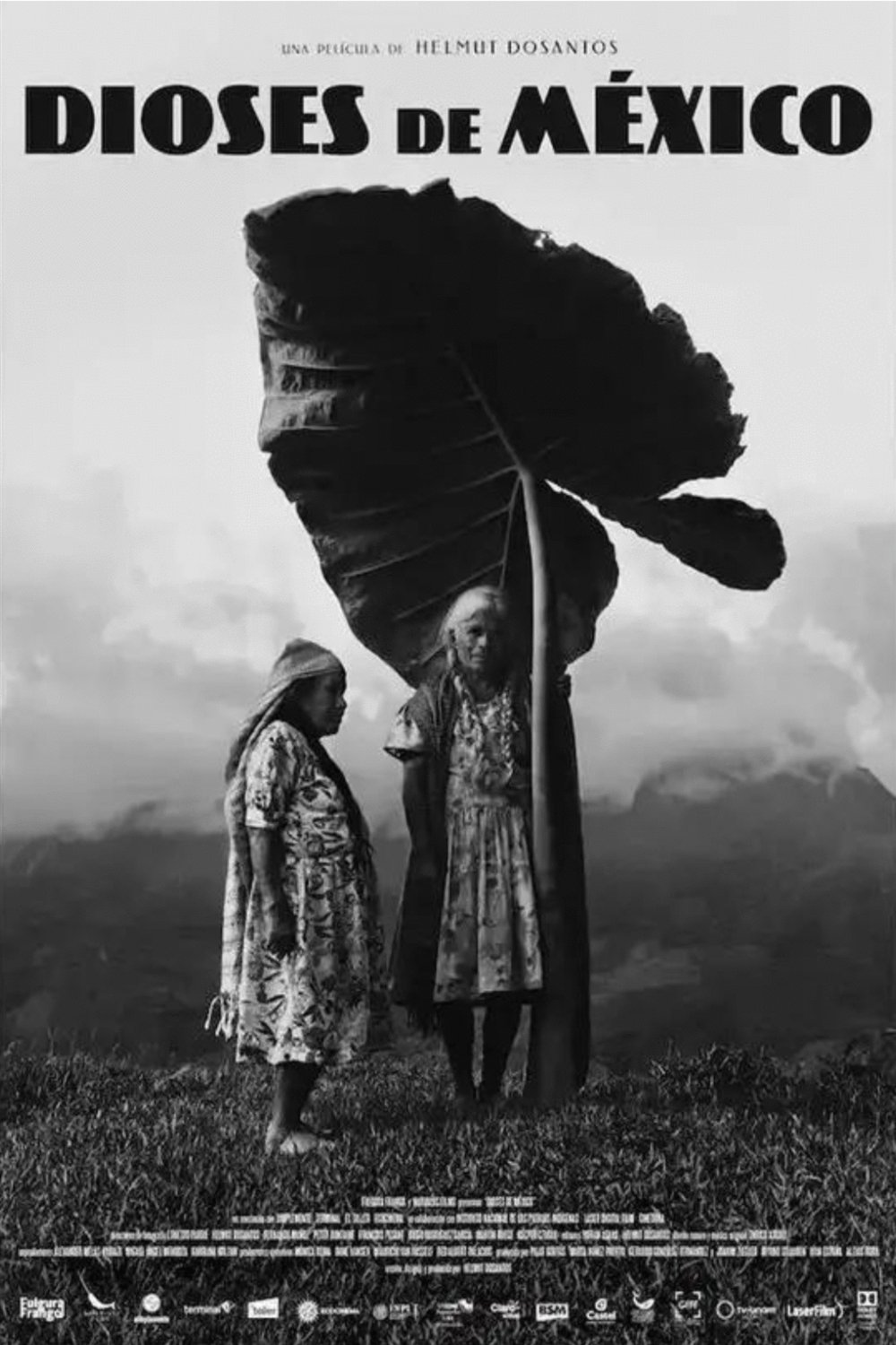 Poster of the movie Gods of Mexico