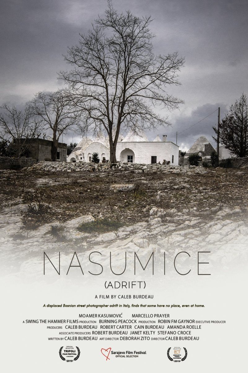 L'affiche originale du film Nasumice en anglais