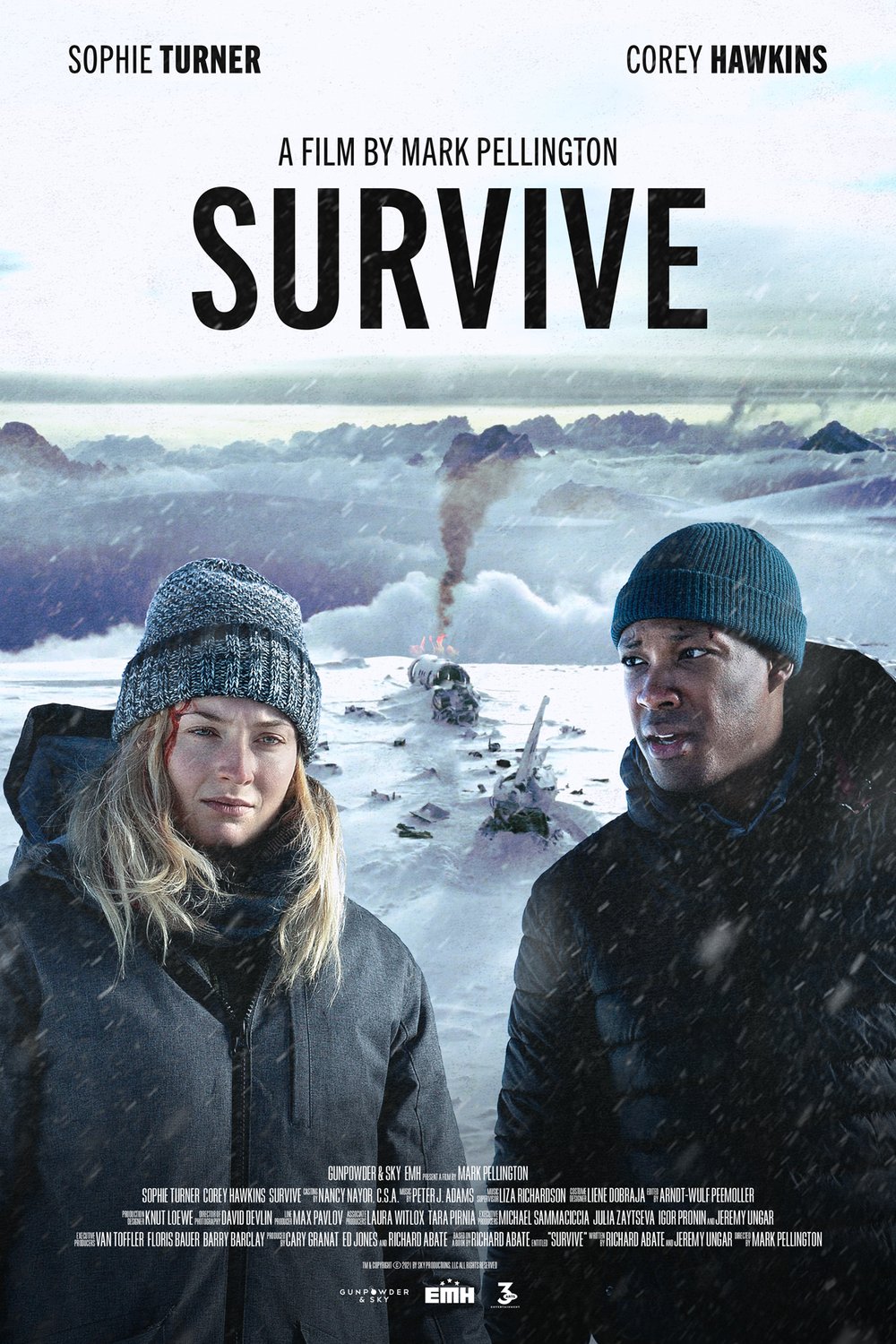L'affiche du film Survive