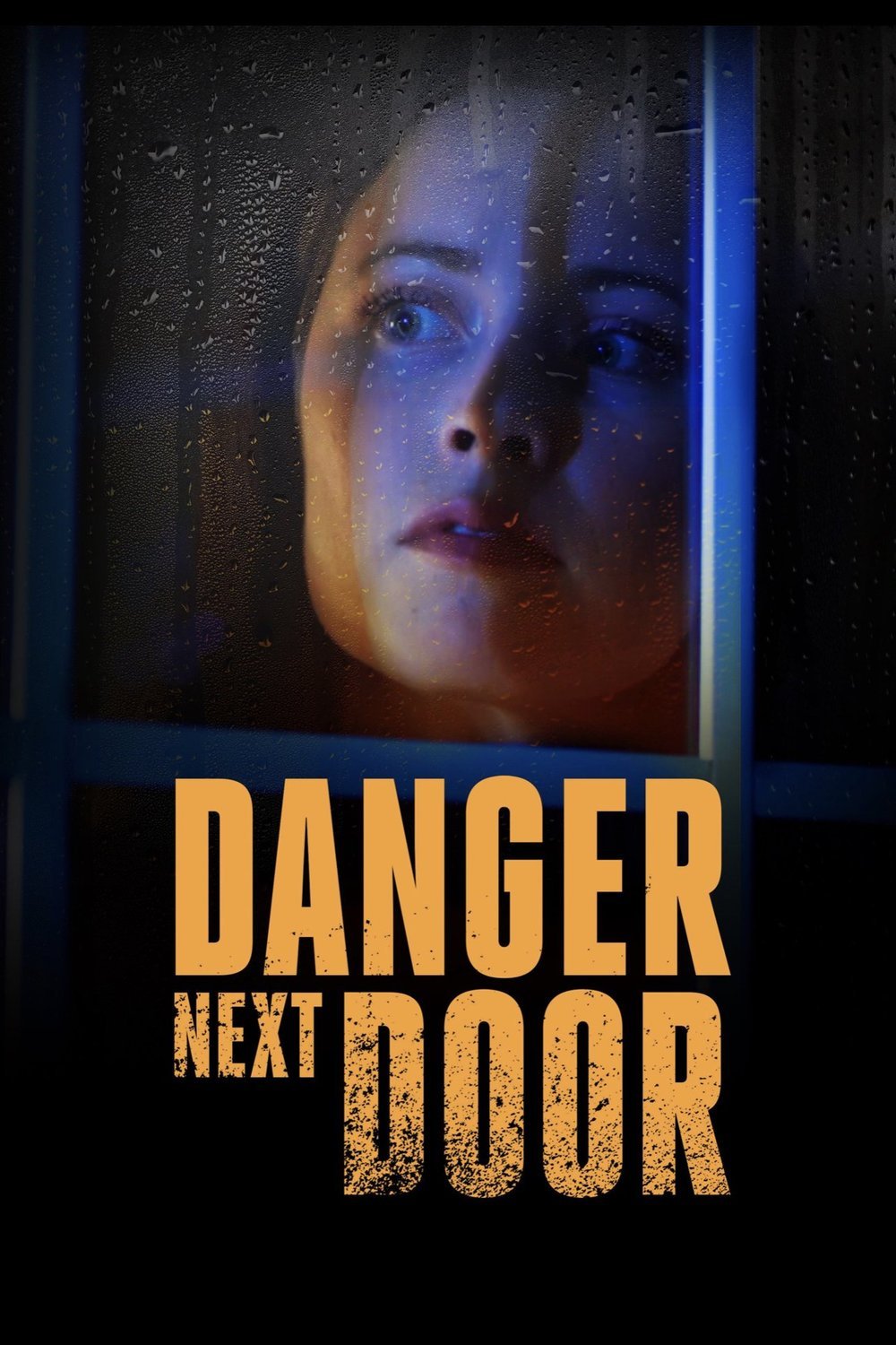 L'affiche du film Danger Next Door