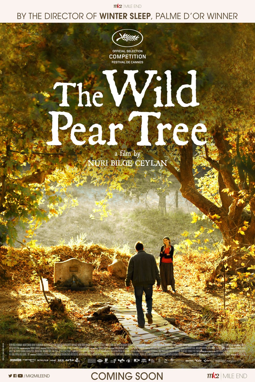 L'affiche du film The Wild Pear Tree
