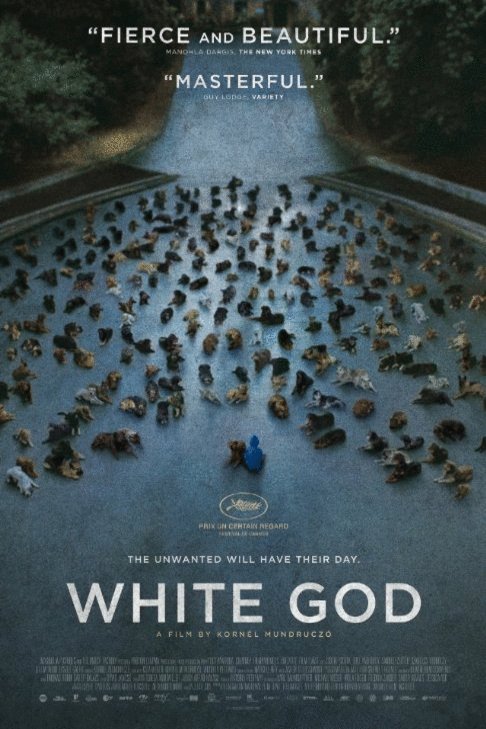 Poster of the movie White God [2014]