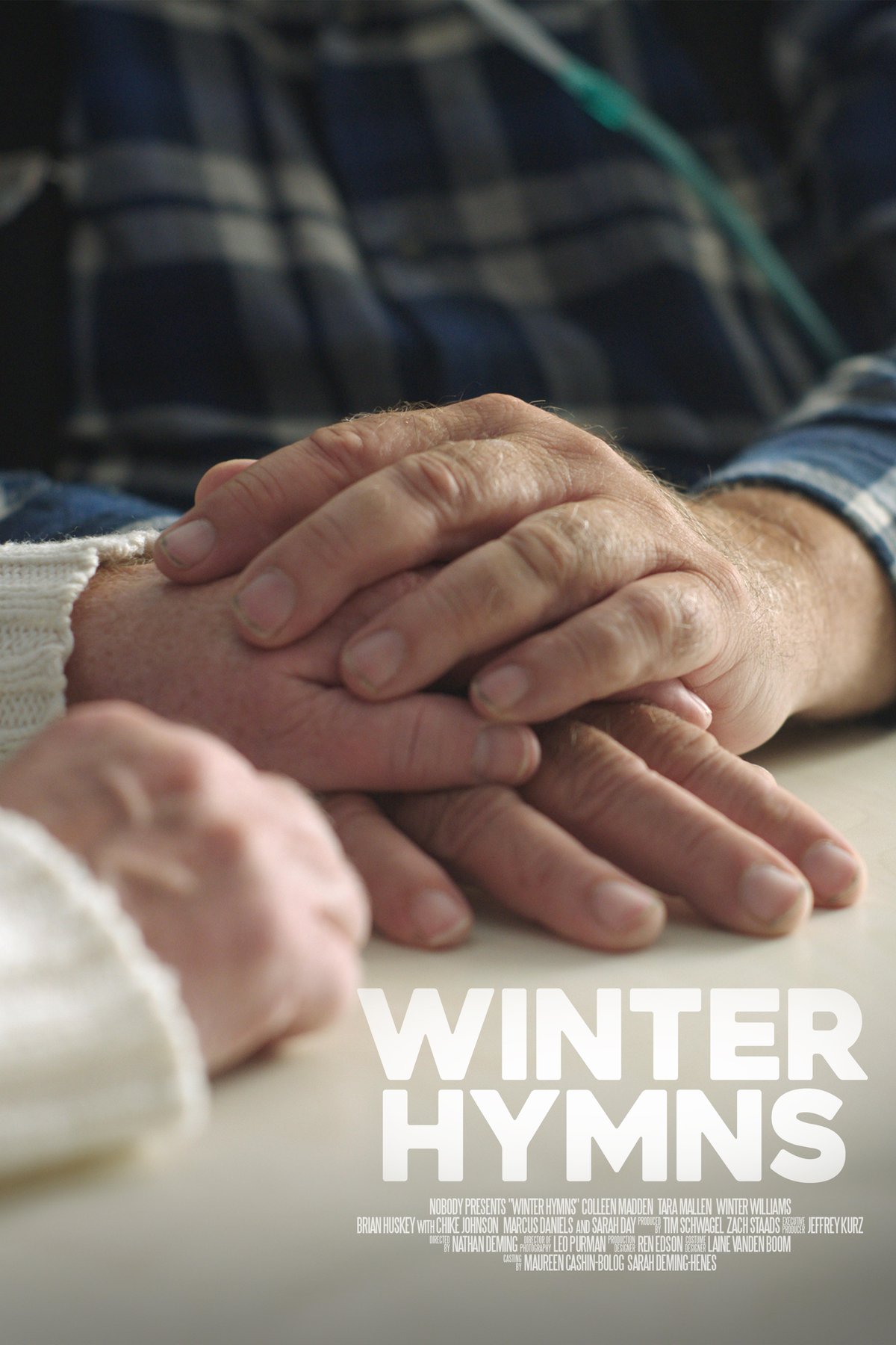 Poster of the movie Winter Hymns [2026]