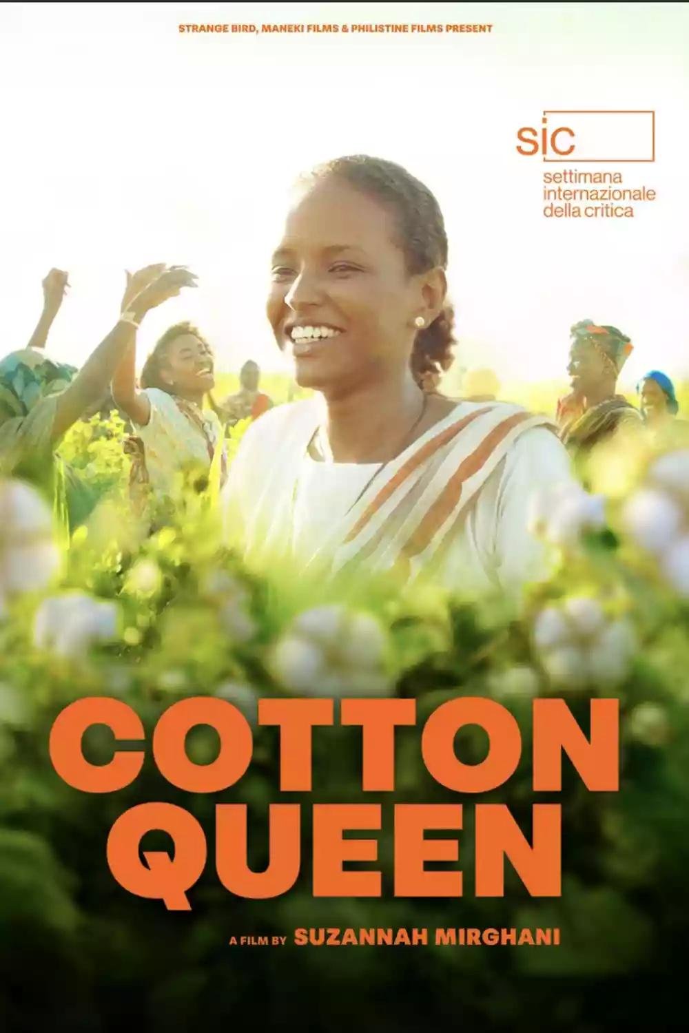 Poster of the movie Cotton Queen