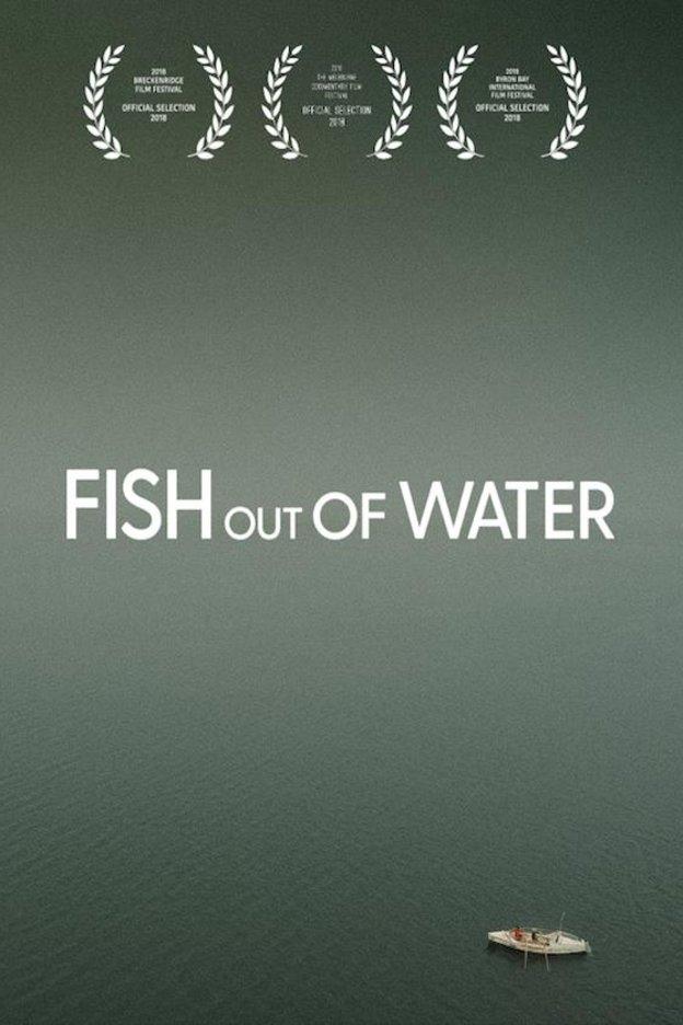 Poster of the movie Fish Out of Water