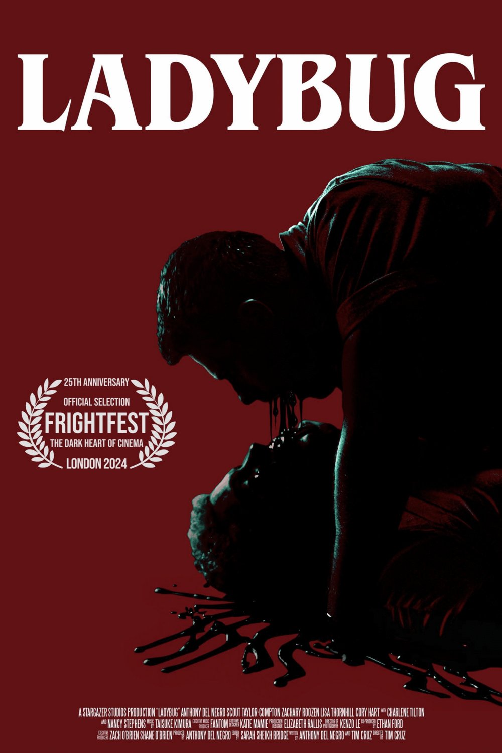 L'affiche du film Ladybug [2024]